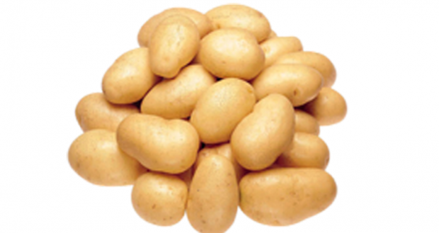 Oignons jaunes, Betteraves, carottes ou pommes de terre blanches (sac de 10 livres) à 1.98$